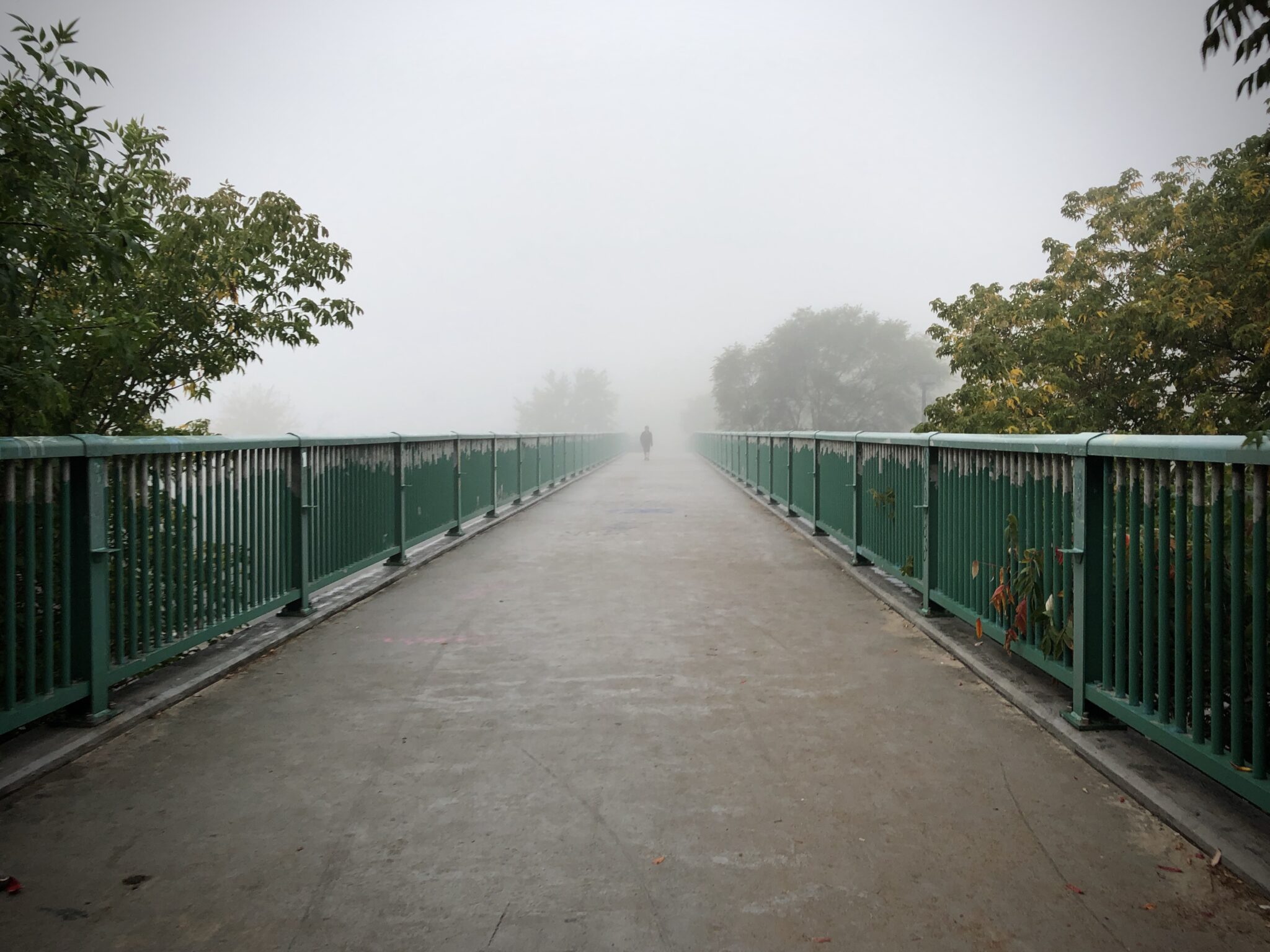 a bridge in the fog