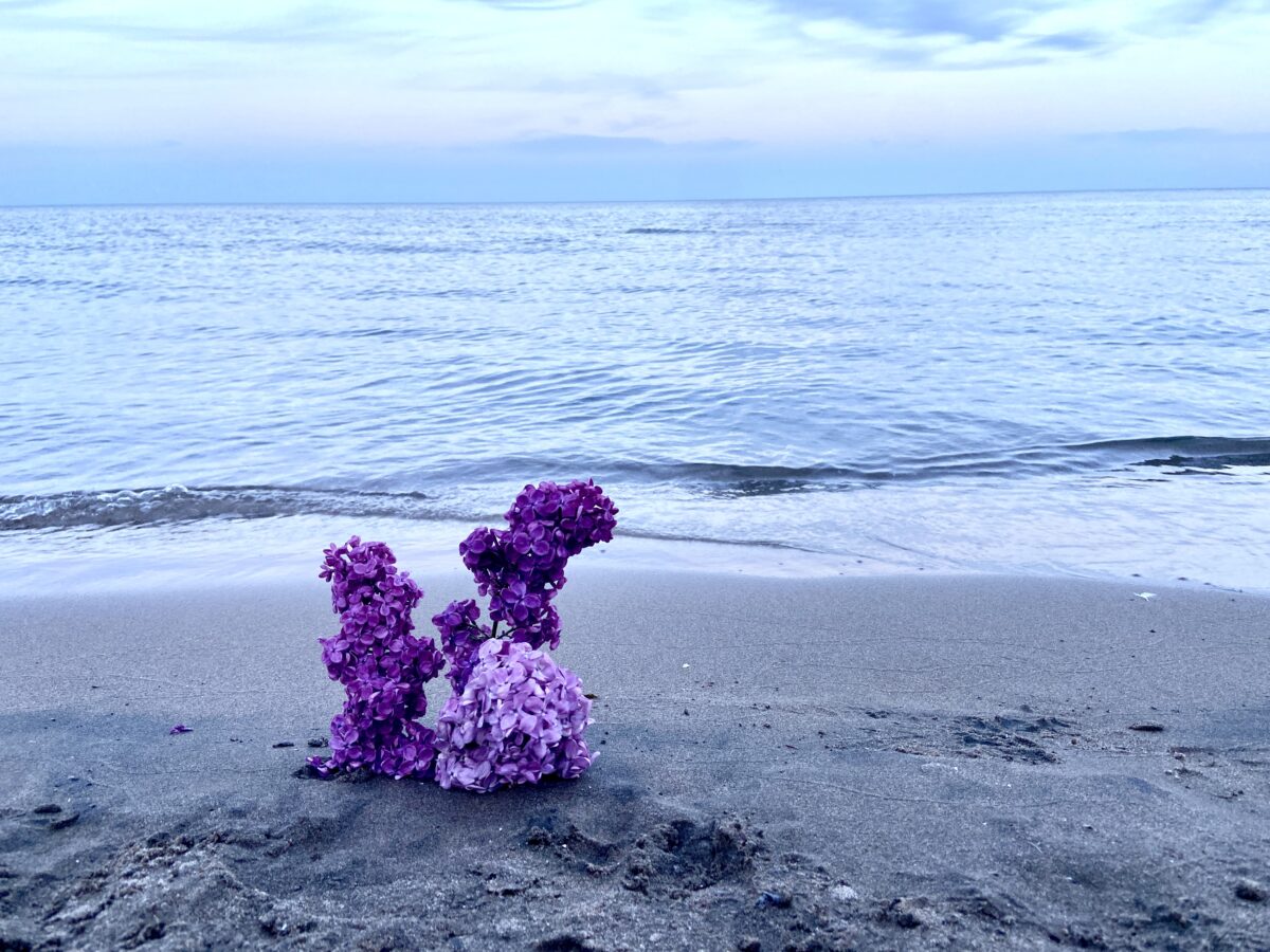 a lilac is stuck in the sand of the beach at a memorial.