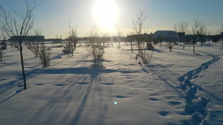 the sun shines over a snow-covered memorial garden in Alberta.