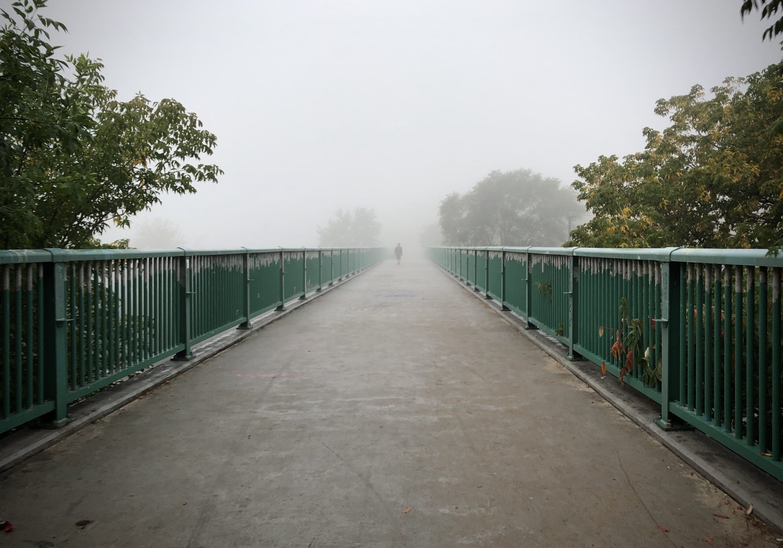 a bridge in the fog