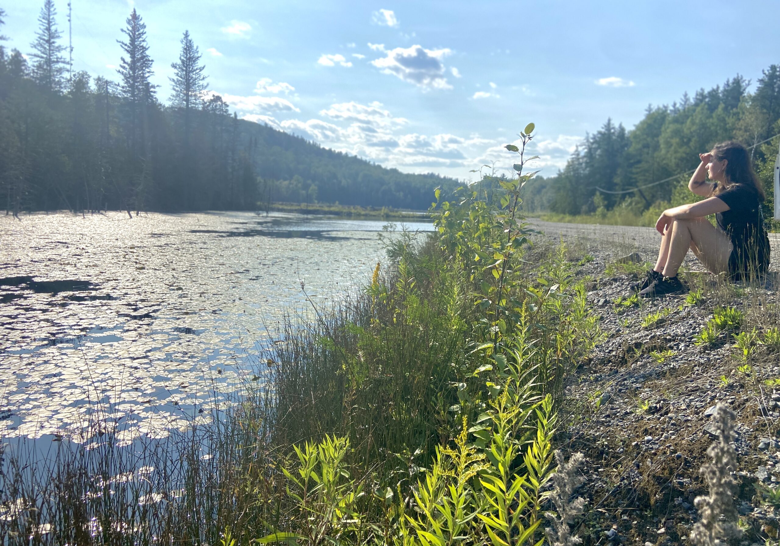 a woman sits on the side of a gravel road along a lake filled with lillypads, gazing out over the water.