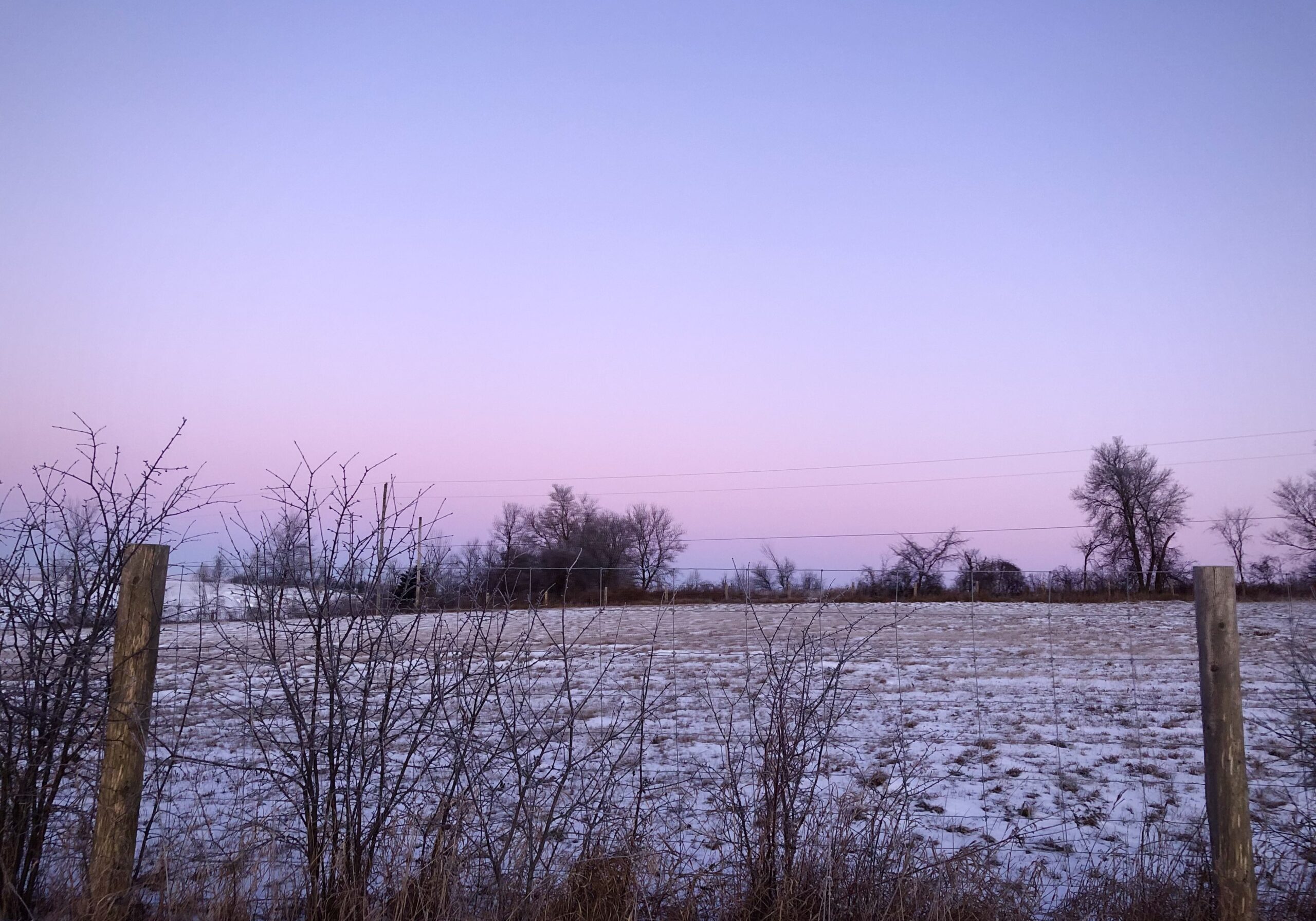 a snowy field at sunrise. in the forground, there is long grass, in the background, trees. the sky is light pink that fades into blue.