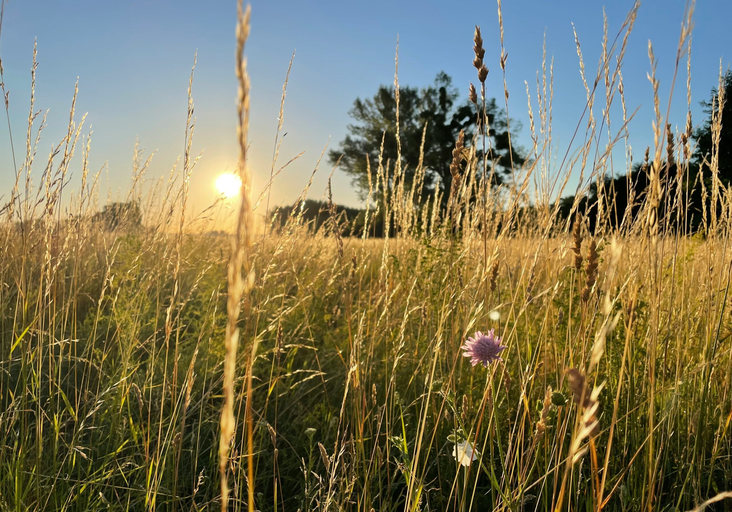 marek-omasta-lSsISOgpgI8-unsplash