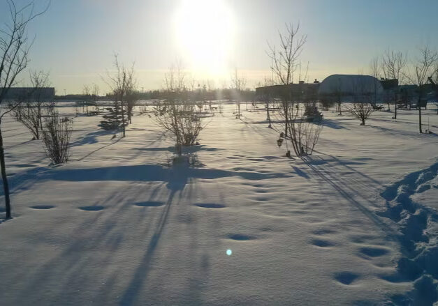 the sun shines over a snow-covered memorial garden in Alberta.